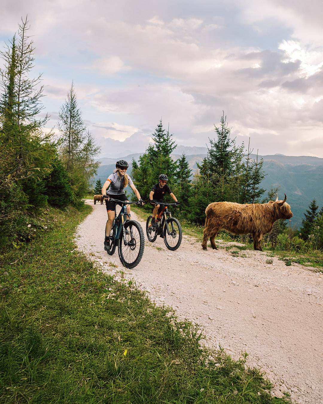 Banner-Handy-Mai-Website