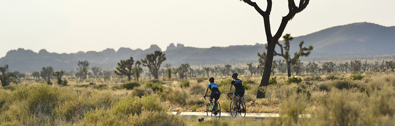 Adidas_Sommer_2020_Banner_02 Adidas Header